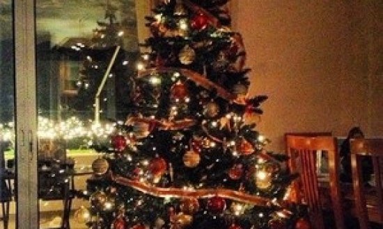 Χριστουγεννιάτικα δέντρα με άρωμα από Hollywood! (ΦΩΤΟ)