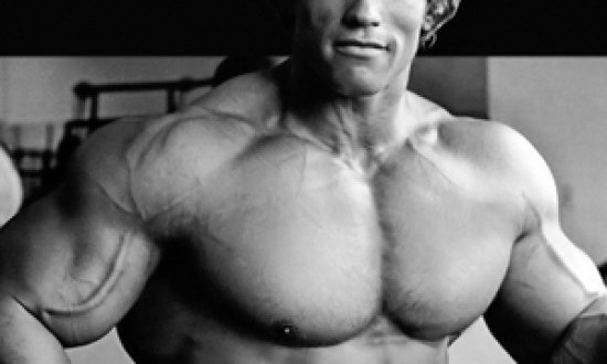 Η προπόνηση του κορυφαίου Arnold Schwarzenegger (με φωτογραφίες) !!!