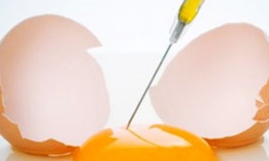 Πώς να ετοιμάσετε τα ιδανικά μετα-προπονητικά αυγά