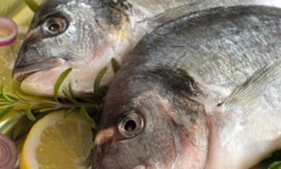 Ψάρια: Πολύτιμη τροφή πλούσια σε βιταμίνες και ιχνοστοιχεία