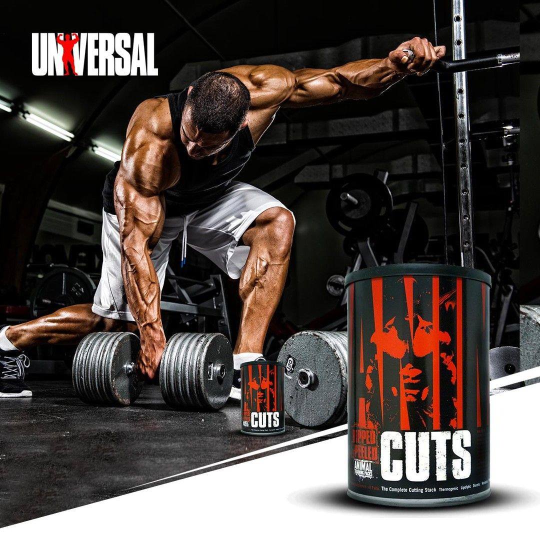 123313143 4674857889223343 2827565079528980244 o