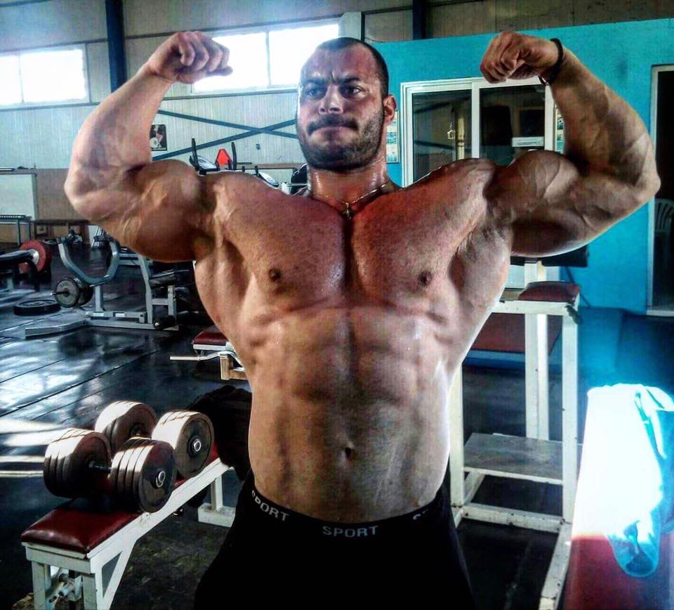 17190690 1221230931306012 3788501283102369029 n