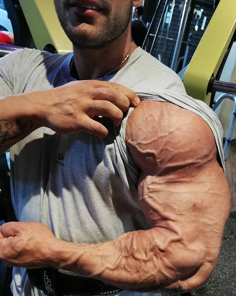 44954287 988648337986614 3075303077650104320 n