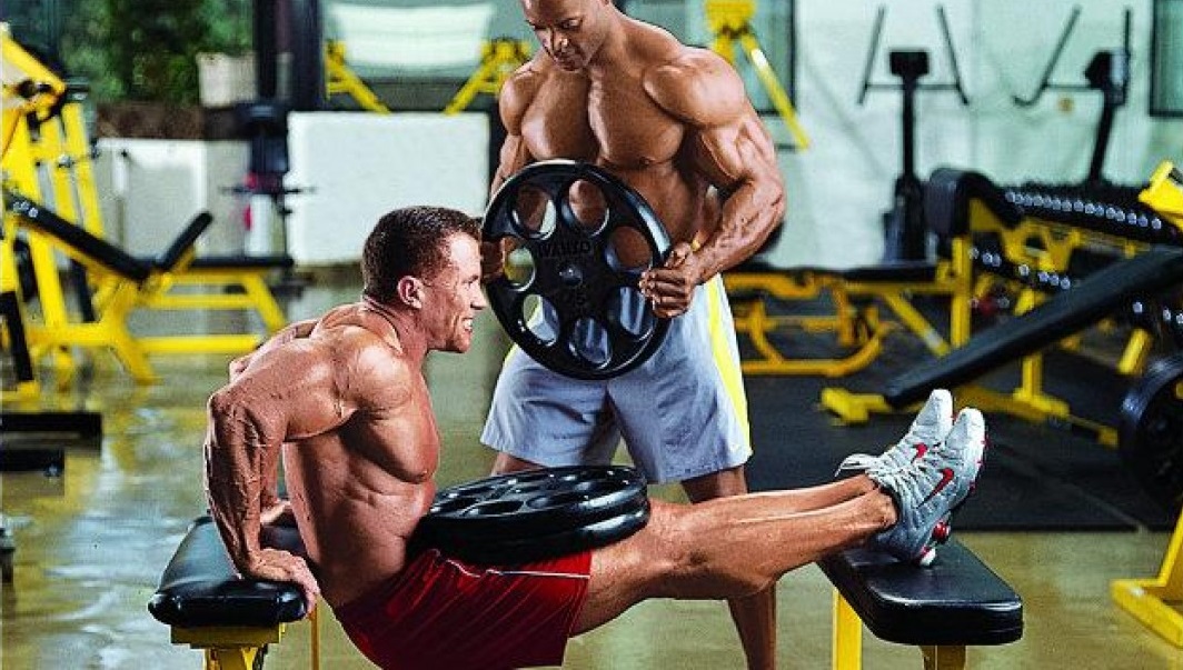 Bench Dips