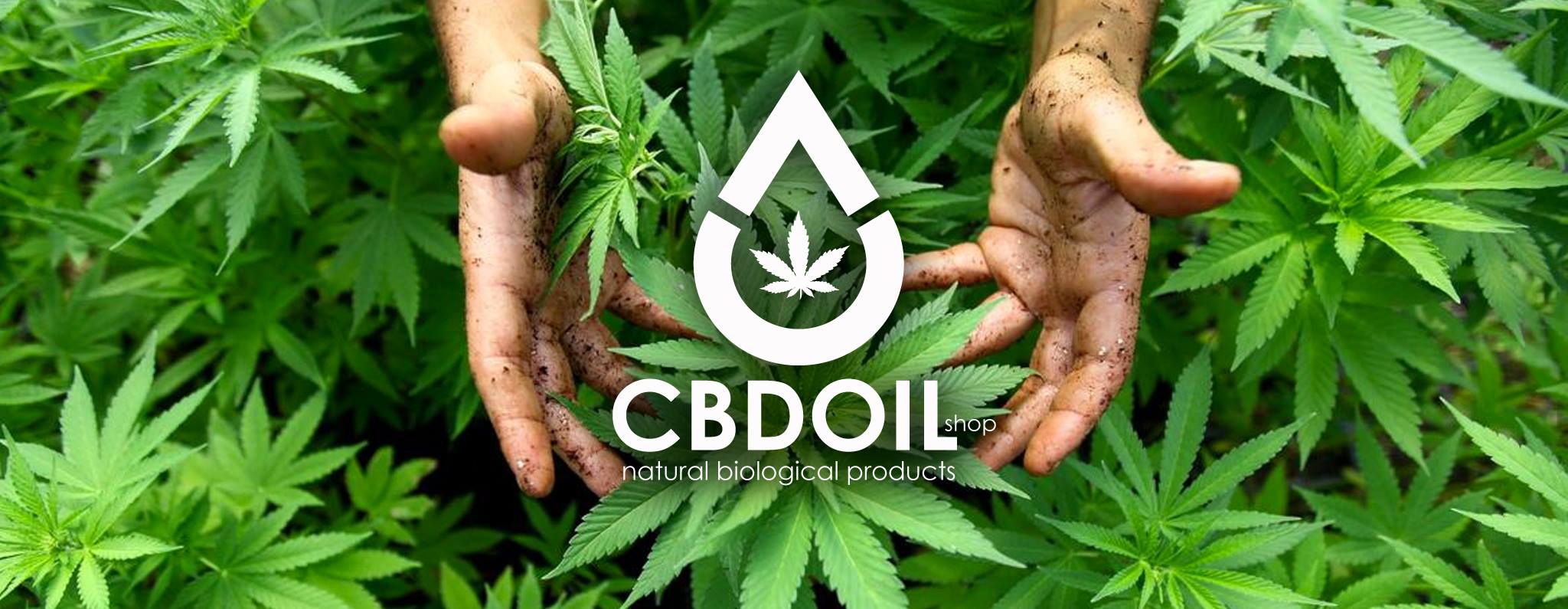 CBDoil2