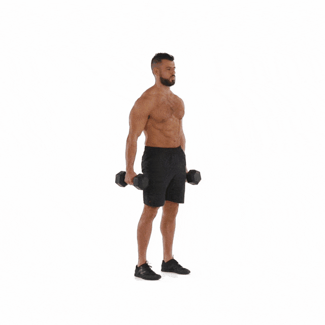 dumbbelldeadlift 1457044319