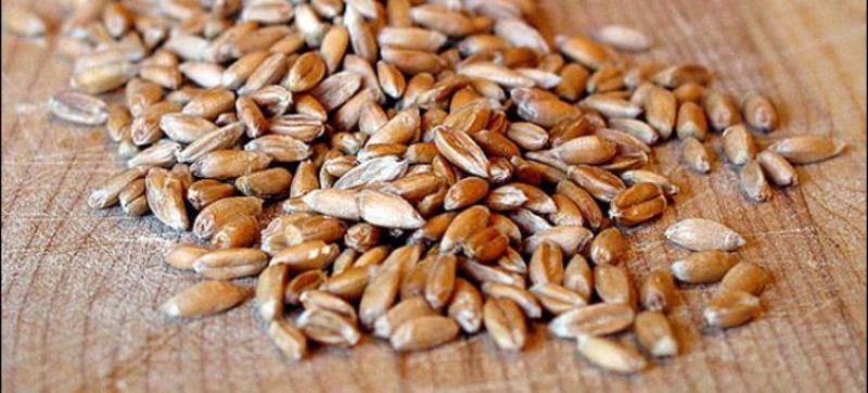 in 11124 59b506e1d34c0