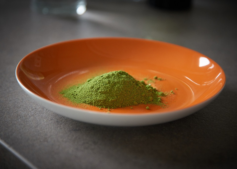 moringa1