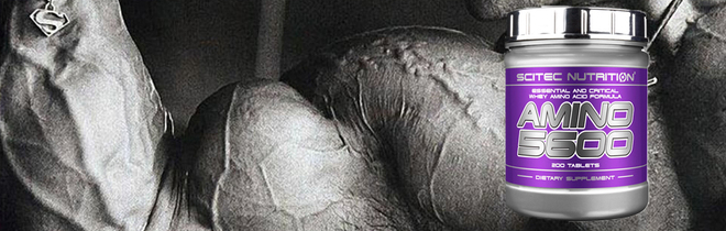 scitec nutrition amino 5600 4