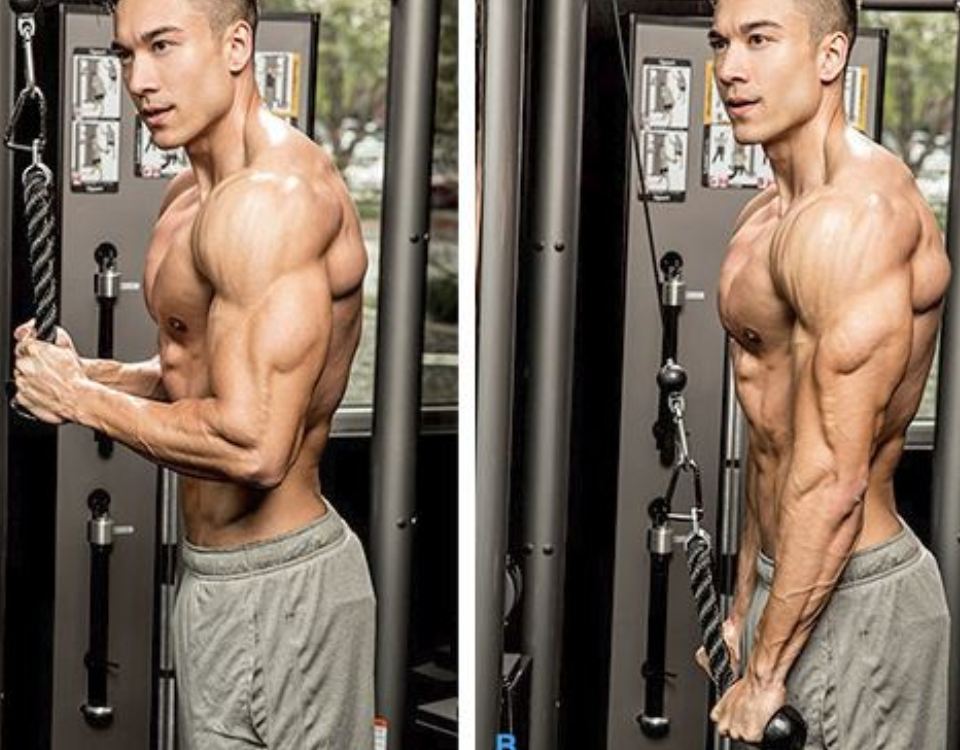 triceps Rope Pushdown