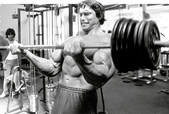arnold curl1 bk55