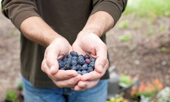 8+1 &tau;&rho;&omicron;&phi;έ&sigmaf; &gamma;&iota;&alpha; &epsilon;&nu;&delta;&upsilon;&nu;ά&mu;&omega;&sigma;&eta; &tau;&omega;&nu; &mu;&upsilon;ώ&nu;