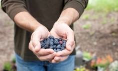 8+1 &tau;&rho;&omicron;&phi;έ&sigmaf; &gamma;&iota;&alpha; &epsilon;&nu;&delta;&upsilon;&nu;ά&mu;&omega;&sigma;&eta; &tau;&omega;&nu; &mu;&upsilon;ώ&nu;