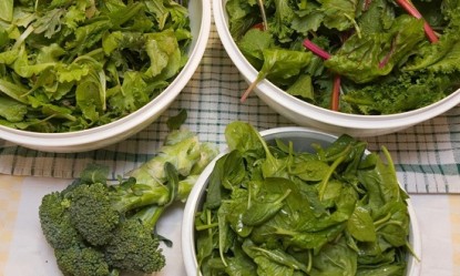 &Tau;&alpha; &lambda;&alpha;&chi;&alpha;&nu;&iota;&kappa;ά &mu;&epsilon; &tau;&eta; &mu;&epsilon;&gamma;&alpha;&lambda;ύ&tau;&epsilon;&rho;&eta; &sigma;&upsilon;&gamma;&kappa;έ&nu;&tau;&rho;&omega;&sigma;&eta; &pi;&rho;&omega;&tau;&epsilon;ΐ&nu;&eta;&sigmaf;