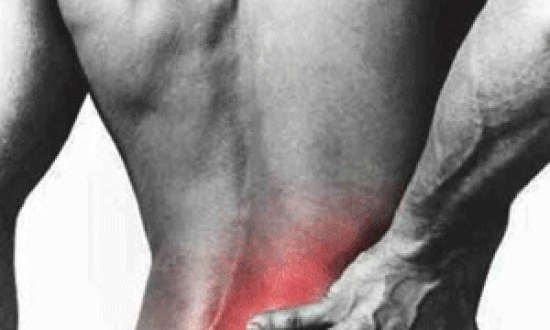 Φυτική Γλυκοζαμίνη… μια φυσική ενίσχυση των αρθρώσεων !!!