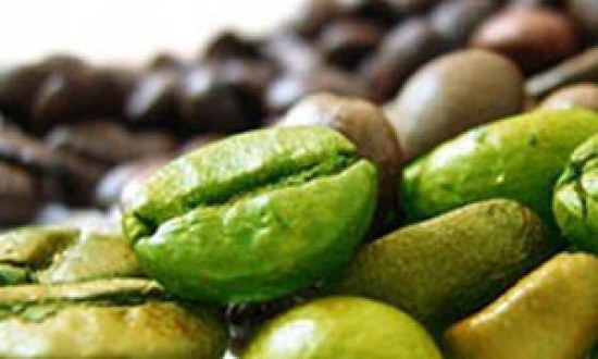 Τι είναι το Εκχύλισμα Πράσινου Καφέ και ποια τα Οφέλη του στο Bodybuilding