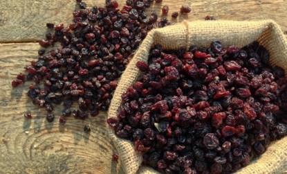 &Omicron;&iota; &tau;&rho;&omicron;&phi;έ&sigmaf; &pi;&omicron;&upsilon; &sigma;&alpha;&sigmaf; &beta;&omicron;&eta;&theta;&omicron;ύ&nu; &nu;&alpha; &alpha;&nu;&tau;&iota;&mu;&epsilon;&tau;&omega;&pi;ί&sigma;&epsilon;&tau;&epsilon; &tau;&omicron; &kappa;&rho;ύ&omicron;!