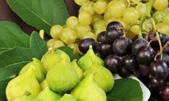 &Omicron;&iota; 5 &upsilon;&pi;&epsilon;&rho;&tau;&rho;&omicron;&phi;έ&sigmaf; &tau;&omicron;&upsilon; &Alpha;&upsilon;&gamma;&omicron;ύ&sigma;&tau;&omicron;&upsilon;