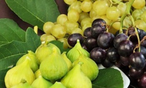 &Omicron;&iota; 5 &upsilon;&pi;&epsilon;&rho;&tau;&rho;&omicron;&phi;έ&sigmaf; &tau;&omicron;&upsilon; &Alpha;&upsilon;&gamma;&omicron;ύ&sigma;&tau;&omicron;&upsilon;