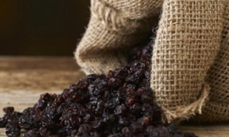 &Kappa;&alpha;&theta;&alpha;&rho;ί&sigma;&tau;&epsilon; &tau;&omicron; &sigma;&upsilon;&kappa;ώ&tau;&iota; &sigma;&alpha;&sigmaf; &sigma;&epsilon; &delta;ύ&omicron; &mu;έ&rho;&epsilon;&sigmaf; &mu;&epsilon; &mu;&alpha;ύ&rho;&eta; &sigma;&tau;&alpha;&phi;ί&delta;&alpha;