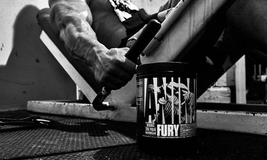 Animal Fury by X-TREME Stores, &gamma;&iota;&alpha; &epsilon;&nu;έ&rho;&gamma;&epsilon;&iota;&alpha; &kappa;&alpha;&iota; &alpha;&nu;&tau;&omicron;&chi;ή &sigma;&tau;&eta;&nu; &pi;&rho;&omicron;&pi;ό&nu;&eta;&sigma;&eta;!
