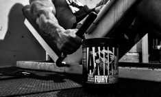 Animal Fury by X-TREME Stores, &gamma;&iota;&alpha; &epsilon;&nu;έ&rho;&gamma;&epsilon;&iota;&alpha; &kappa;&alpha;&iota; &alpha;&nu;&tau;&omicron;&chi;ή &sigma;&tau;&eta;&nu; &pi;&rho;&omicron;&pi;ό&nu;&eta;&sigma;&eta;!
