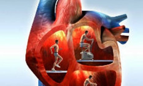 &Alpha;&theta;&lambda;&eta;&tau;&iota;&sigma;&mu;ό&sigmaf; &kappa;&alpha;&iota; &kappa;&alpha;&rho;&delta;&iota;ά: &Tau;&iota; &pi;&rho;έ&pi;&epsilon;&iota; &nu;&alpha; &pi;&rho;&omicron;&sigma;έ&chi;&omicron;&upsilon;&mu;&epsilon;