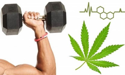 CBD &kappa;&alpha;&iota; &phi;&upsilon;&sigma;&iota;&kappa;ή &kappa;&alpha;&tau;ά&sigma;&tau;&alpha;&sigma;&eta;: &Eta; &phi;&upsilon;&sigma;&iota;&kappa;ή &omicron;&upsilon;&sigma;ί&alpha; &pi;&omicron;&upsilon; &alpha;&upsilon;&xi;ά&nu;&epsilon;&iota; &tau;&iota;&sigmaf; &epsilon;&pi;&iota;&delta;ό&sigma;&epsilon;&iota;&sigmaf;