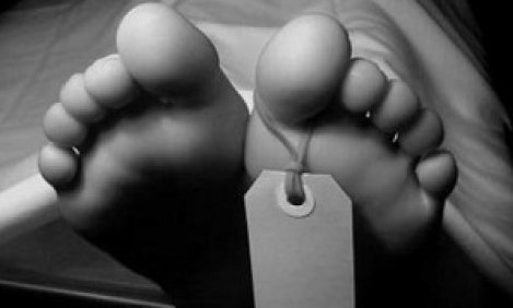 &Tau;&iota; &mu;έ&nu;&epsilon;&iota; &zeta;&omega;&nu;&tau;&alpha;&nu;ό 48 ώ&rho;&epsilon;&sigmaf; &alpha;&pi;ό &tau;&omicron; &theta;ά&nu;&alpha;&tau;&omicron; &mu;&alpha;&sigmaf;;