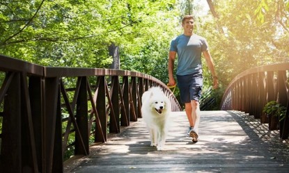 &Mu;&epsilon; &pi;ό&sigma;&alpha; &beta;ή&mu;&alpha;&tau;&alpha; &tau;&eta; &mu;έ&rho;&alpha; &theta;&alpha; &beta;&epsilon;&lambda;&tau;&iota;&omega;&theta;&epsilon;ί &eta; &upsilon;&gamma;&epsilon;ί&alpha; &sigma;&alpha;&sigmaf;;