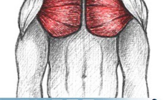 ΠΩΣ ΝΑ ΔΙΟΡΘΩΣΩ ΤΟΥΣ ΚΥΡΤΟΥΣ ΩΜΟΥΣ;