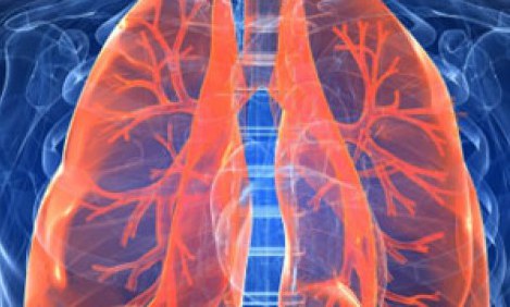 &Alpha;&pi;ί&sigma;&tau;&epsilon;&upsilon;&tau;&omicron;:&Delta;&epsilon;ί&tau;&epsilon; &pi;&omicron;&iota;&alpha; &epsilon;ί&nu;&alpha;&iota; &eta; &beta;&iota;&tau;&alpha;&mu;ί&nu;&eta; &pi;&omicron;&upsilon; &kappa;&alpha;&tau;&alpha;&sigma;&tau;&rho;έ&phi;&epsilon;&iota; &tau;&alpha; &pi;&nu;&epsilon;&upsilon;&mu;ό&nu;&iota;&alpha; &mu;&alpha;&sigmaf;