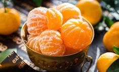 &Tau;&omicron; &mu;&alpha;&nu;&tau;&alpha;&rho;ί&nu;&iota; &kappa;&alpha;&iota; &tau;&alpha; ά&gamma;&nu;&omega;&sigma;&tau;&alpha; &omicron;&phi;έ&lambda;&eta; &tau;&omicron;&upsilon; &laquo;&theta;&alpha;&upsilon;&mu;&alpha;&tau;&omicron;&upsilon;&rho;&gamma;&omicron;ύ&raquo; &phi;&rho;&omicron;ύ&tau;&omicron;&upsilon;