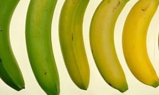 Ποια απ’ αυτές τις μπανάνες είναι η πιο υγιεινή επιλογή και γιατί;