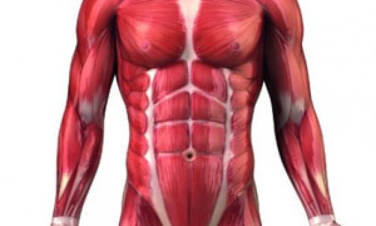 Μείνε στη μέση