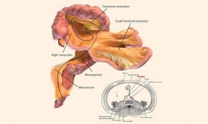 &Alpha;&nu;&alpha;&kappa;&alpha;&lambda;ύ&phi;&theta;&eta;&kappa;&epsilon; &nu;έ&omicron; ό&rho;&gamma;&alpha;&nu;&omicron; &sigma;&tau;&omicron; &alpha;&nu;&theta;&rho;ώ&pi;&iota;&nu;&omicron; &sigma;ώ&mu;&alpha;!