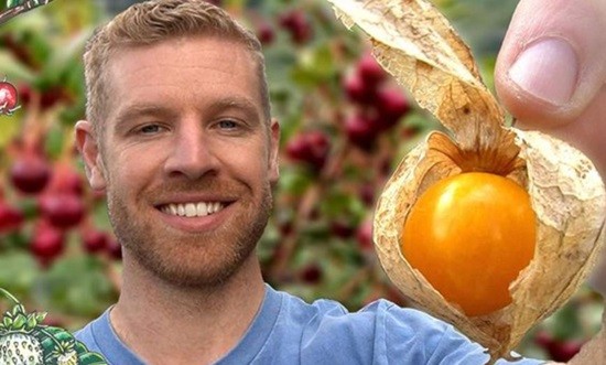 &Mu;ά&theta;&epsilon; &pi;&omega;&sigmaf; &alpha;&upsilon;&tau;ό &tau;&omicron; &epsilon;&xi;&omega;&tau;&iota;&kappa;ό &phi;&rho;&omicron;ύ&tau;&omicron; &mu;&pi;&omicron;&rho;&epsilon;ί &nu;&alpha; &sigma;&epsilon; &kappa;ά&nu;&epsilon;&iota; &pi;&iota;&omicron; ό&mu;&omicron;&rho;&phi;&omicron; &kappa;&alpha;&iota; &nu;έ&omicron;