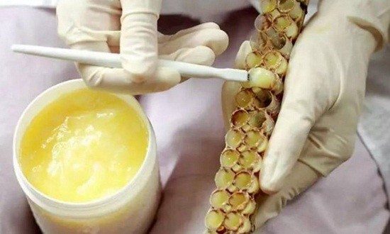 &Beta;&alpha;&sigma;&iota;&lambda;&iota;&kappa;ό&sigmaf; &pi;&omicron;&lambda;&tau;ό&sigmaf;: &Omicron; &beta;&alpha;&sigma;&iota;&lambda;&iota;ά&sigmaf; &sigma;&tau;&alpha; &phi;&upsilon;&sigma;&iota;&kappa;ά &sigma;&upsilon;&mu;&pi;&lambda;&eta;&rho;ώ&mu;&alpha;&tau;&alpha; &delta;&iota;&alpha;&tau;&rho;&omicron;&phi;ή&sigmaf;