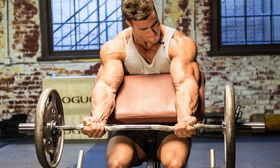 &Omicron;&iota; &pi;&iota;&omicron; &psi;&alpha;&gamma;&mu;έ&nu;&epsilon;&sigmaf; &sigma;&upsilon;&mu;&beta;&omicron;&upsilon;&lambda;έ&sigmaf; &pi;&rho;&omicron;&pi;ό&nu;&eta;&sigma;&eta;&sigmaf; &mu;&upsilon;ϊ&kappa;ή&sigmaf; &upsilon;&pi;&epsilon;&rho;&tau;&rho;&omicron;&phi;ί&alpha;&sigmaf;