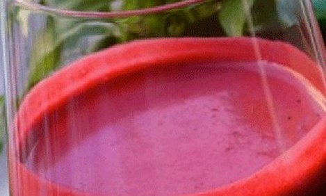 &Pi;&omicron;&iota;&omicron; &epsilon;ί&nu;&alpha;&iota; &tau;&omicron; n.1 &alpha;&pi;&omicron;&tau;&omicron;&xi;&iota;&nu;&omega;&tau;&iota;&kappa;ό &phi;&upsilon;&sigma;&iota;&kappa;ό &pi;&omicron;&tau;ό ;