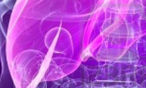 T&omicron; &sigma;&upsilon;&kappa;ώ&tau;&iota; &mu;&alpha;&sigmaf; &epsilon;&xi;&omicron;&mu;&omicron;&lambda;&omicron;&gamma;&epsilon;ί&tau;&alpha;&iota; &kappa;&alpha;&iota; &mu;&alpha;&sigmaf; &sigma;&upsilon;&mu;&beta;&omicron;&upsilon;&lambda;&epsilon;ύ&epsilon;&iota;&hellip;