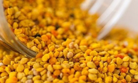 &Eta; &gamma;ύ&rho;&eta; &tau;&omega;&nu; &lambda;&omicron;&upsilon;&lambda;&omicron;&upsilon;&delta;&iota;ώ&nu; &epsilon;ί&nu;&alpha;&iota; &eta; &nu;έ&alpha; &upsilon;&pi;&epsilon;&rho;&tau;&rho;&omicron;&phi;ή!