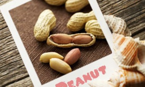 &Epsilon;&sigma;ύ &tau;&eta;&nu; &xi;έ&rho;&epsilon;&iota;&sigmaf; &tau;&eta; &lambda;&epsilon;&upsilon;&kappa;ί&nu;&eta;;&Sigma;&epsilon; &beta;&omicron;&eta;&theta;ά &nu;&alpha; &chi;&tau;ί&sigma;&epsilon;&iota;&sigmaf; &mu;&upsilon;&sigmaf; &kappa;&alpha;&iota; &nu;&alpha; &kappa;ά&psi;&epsilon;&iota;&sigmaf; &lambda;ί&pi;&omicron;&sigmaf;!&Sigma;&epsilon; &pi;&omicron;&iota;&epsilon;&sigmaf; &tau;&rho;&omicron;&phi;έ&sigmaf; &theta;&alpha; &tau;&eta; &beta;&rho;&epsilon;&iota;&sigmaf;;