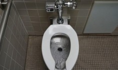 &Tau;&iota; &pi;&rho;έ&pi;&epsilon;&iota; &nu;&alpha; &kappa;ά&nu;&omicron;&upsilon;&mu;&epsilon; ό&tau;&alpha;&nu; "&tau;&rho;&alpha;&beta;ά&mu;&epsilon;" &tau;&omicron; &kappa;&alpha;&zeta;&alpha;&nu;ά&kappa;&iota; &gamma;&iota;&alpha; &nu;&alpha; &zeta;ή&sigma;&omicron;&upsilon;&mu;&epsilon; &mu;&epsilon; &upsilon;&gamma;&epsilon;ί&alpha;