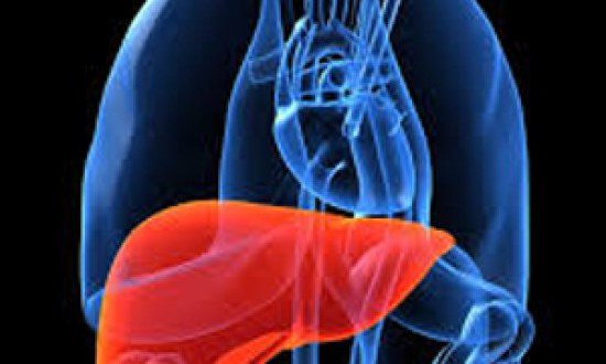 Πως μπορούμε να προστατεύσουμε το συκώτι μας;