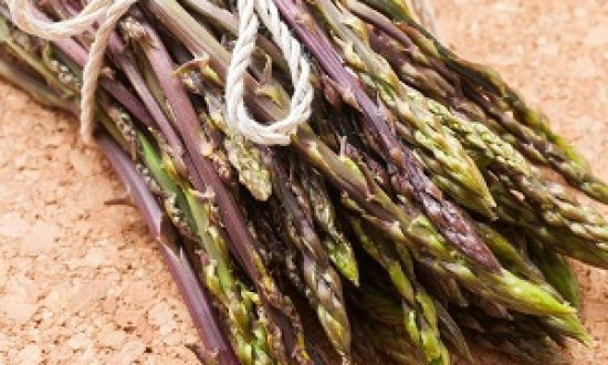 &Tau;&alpha; 7 &lambda;&alpha;&chi;&alpha;&nu;&iota;&kappa;ά &mu;&epsilon; &tau;&eta; &mu;&epsilon;&gamma;&alpha;&lambda;ύ&tau;&epsilon;&rho;&eta; &sigma;&upsilon;&gamma;&kappa;έ&nu;&tau;&rho;&omega;&sigma;&eta; &pi;&rho;&omega;&tau;&epsilon;ΐ&nu;&eta;&sigmaf;