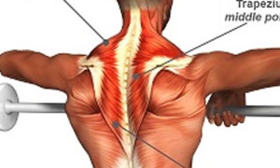 Τραπεζοειδείς: Πώς να αναπτύξετε τους πιο πεισματάρηδες μύες !!!