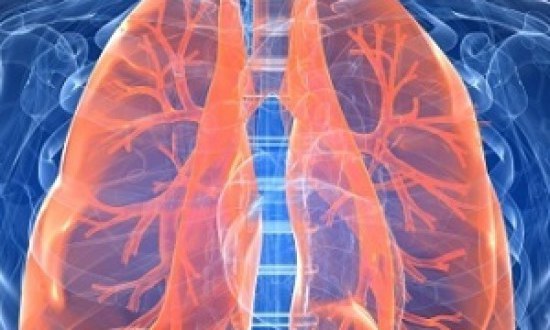 &Omicron;&iota; &tau;&rho;&omicron;&phi;έ&sigmaf; &pi;&omicron;&upsilon;... &kappa;&alpha;&theta;&alpha;&rho;ί&zeta;&omicron;&upsilon;&nu; &tau;&omicron;&upsilon;&sigmaf; &pi;&nu;&epsilon;ύ&mu;&omicron;&nu;&epsilon;&sigmaf;