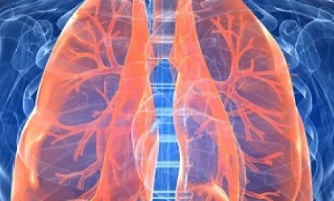 &Omicron;&iota; &tau;&rho;&omicron;&phi;έ&sigmaf; &pi;&omicron;&upsilon;... &kappa;&alpha;&theta;&alpha;&rho;ί&zeta;&omicron;&upsilon;&nu; &tau;&omicron;&upsilon;&sigmaf; &pi;&nu;&epsilon;ύ&mu;&omicron;&nu;&epsilon;&sigmaf;