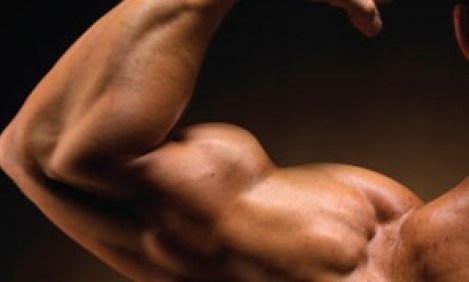 &Sigma;&Omega;&Mu;&Alpha; &Alpha;&Pi;&Omicron; &Sigma;&Pi;&Iota;&Tau;&Iota; - &Pi;&rho;&omicron;&gamma;&rho;&alpha;&mu;&mu;ά &mu;&epsilon; &epsilon;&lambda;ά&chi;&iota;&sigma;&tau;&omicron; &epsilon;&xi;&omicron;&pi;&lambda;&iota;&sigma;&mu;&omicron;